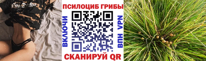 Галлюциногенные грибы мицелий наркошоп Шелехов